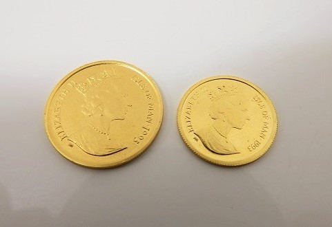 金貨買取大阪・神戸エリザベス金貨・インゴット買取査定難波